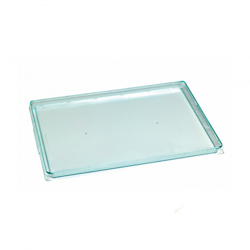 Plateau plastique PS vert transparent "Klarity" 38 x 27,4 x 1,8 cm - 25 unités