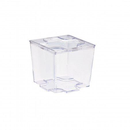 Verrine plastique PS transparente "Kara" Par 24 unités L: 5,2 cm x l: 5,2 cm x H: 5 cm x P: 9,2 g