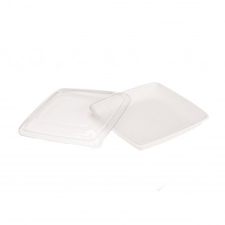 Saladier Carré Blanc En Pulpe Par 25 unités L: 23,5 cm l: 23,5 cm H: 2,8 cm