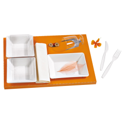 Insert Carton Orange Pour Vaisselle "Scandinavie" Par 25 unités L: 41 cm l: 27 cm H: 2,5 cm