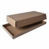 Plateau repas carton kraft 32,5 x 26 x 2,5 cm x 100 unités