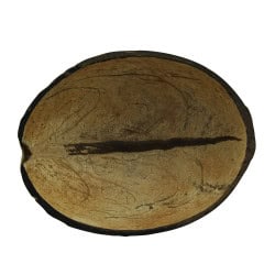 Bol noix de coco naturel  - 100 ml - 7,5 cm x 2 cm x 5 cm.