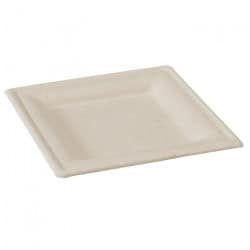 Assiette biodégradable grande taille en bagasse canne à sucre 26 cm