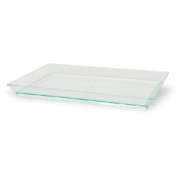 Elément de plateau réutilisable plastique vert transparent "Klarity" 18 x 13 cm - 50 unités