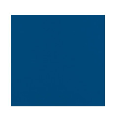 Serviette micro point bleue 2 plis 38 x 38 cm - 40 unités