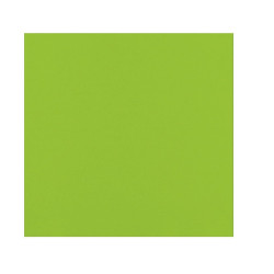 Serviette micro point vert citron 2 plis 38 x 38 cm - 40 unités