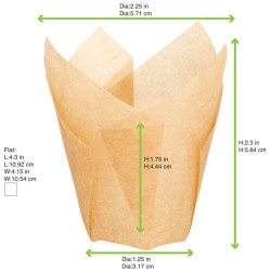 mesure