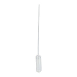 Pipette pointe fine 1,56 x 16 cm - 500 unités