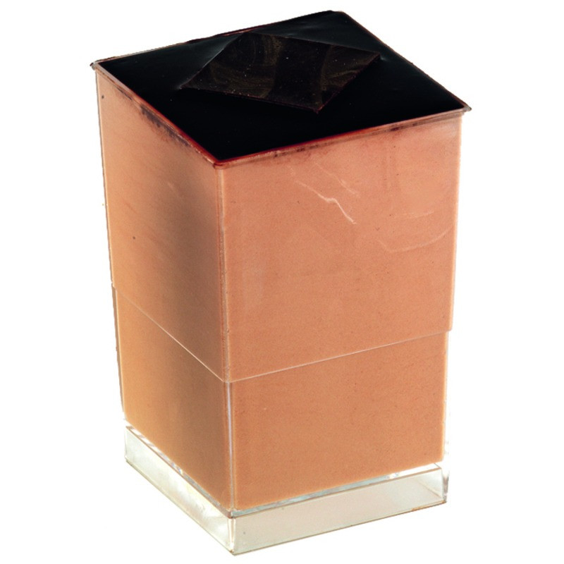 Verrine plastique PS transparent carrée "Quadra" 80 ml 4 x 4 x 8,2 cm - 12 unités