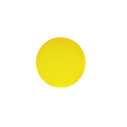 Rond carton double face orange/citron Diam: 22 cm 22 cm - 100 unités