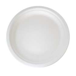 Assiette ronde blanche en pulpe  - 22 cm x 22 cm - 50 unités