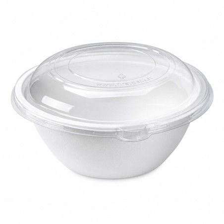 Couvercle dôme plastique transparent Diam: 22 cm 23,5 x 23,5 x 2 cm x 25 unités