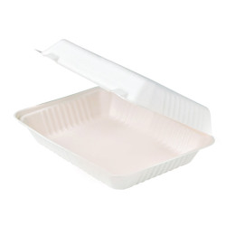 Coquille blanche en pulpe  232x157, H80 mm - 50 unités