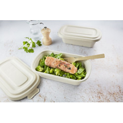 Boîte rectangulaire brune en pulpe 1350 ml 23 x 13,5 x 7,7 cm - 125 unités