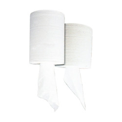 Bobine d'essuyage blanc 2 plis à devidage central Diam: 20 cm 21 x 19 cm - 6 unités