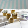 Couvercle PET transparent plat Diam: 9 cm 9 cm - 100 unités