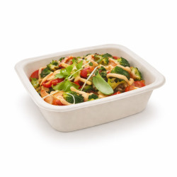Barquette scellable pulpe laminée PLA "gastronorme" 1/8 585 ml 16 x 13 x 4,6 cm - 100 unités