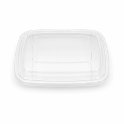 Couvercle PET transparent  - 18,1 cm x 16,7 cm x 0,9 cm x50pcs
