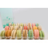 Insert plastique PET transparent 9 macarons (3x3) avec fermeture clipsable 11 x 16 x 2 cm - 25 unités