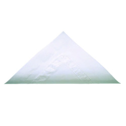 Serviette ouate blanche 2 plis 38 x 38 cm - 100 unités