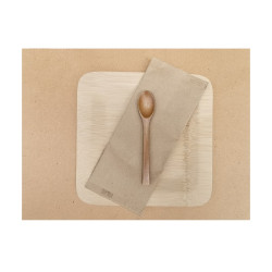 Set de plateau papier beige 30 x 40 cm - 250 unités