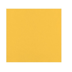 Serviette micro point jaune 2 plis 38 x 38 cm - 40 unités