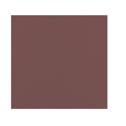 Serviette micro point marron 2 plis 38 x 38 cm - 40 unités