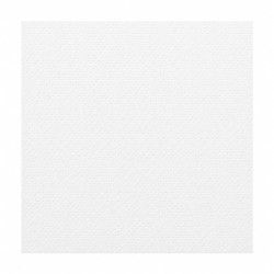 Serviette micropoint blanche 2 plis  - 38 cm x 38 cm - 40 unités
