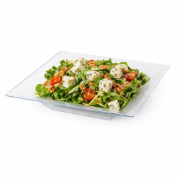 Assiette creuse transparente carrée 21,5 x 21,5 x 4 cm x 10 unités