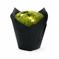 Caissette de cuisson forme tulipe en papier noir ingraissable Diam: 4,5 cm 15 x 15 x 8 cm - 120 unités