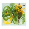 Couvercle pour assiette 6,5 cm