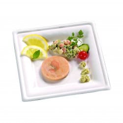 Assiette Pulpe Carree 205X205 Mm