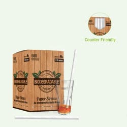Chalumeau papier blanc pour smoothie Par 500 unités L: 0,8 cm x l: 0,8 cm x H: 19,7 cm x P: 1,6 g
