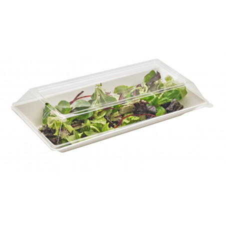 Assiette rectangulaire blanche en pulpe "Eco-Design" Par 50 unités L: 26 cm x l: 13 cm x H: 2,8 cm x P: 20 g