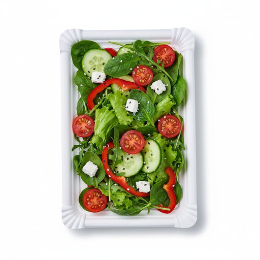 Assiette rectangulaire en carton recyclé blanc 26 cm x 18 cm - 250 unités