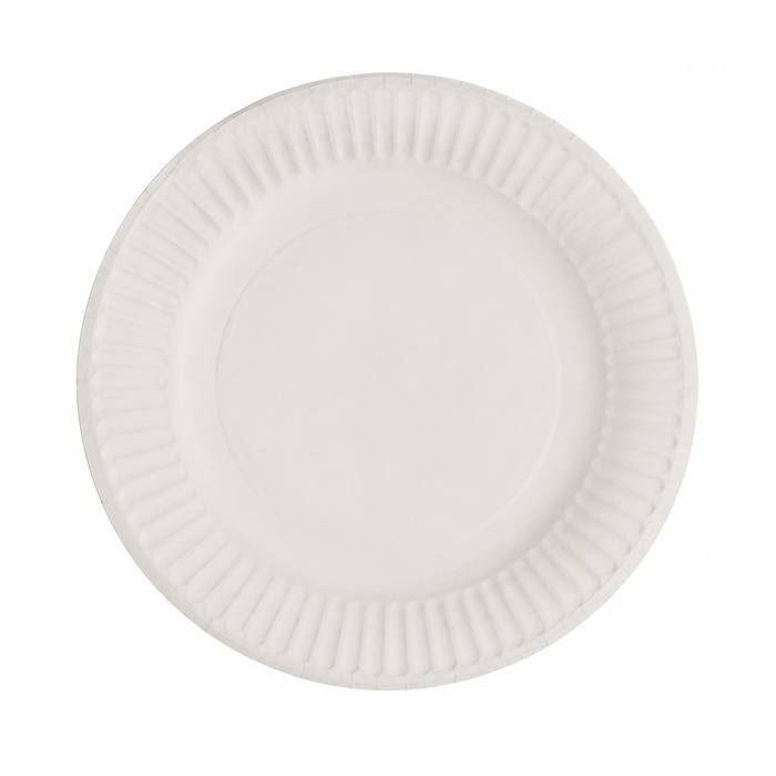 Assiette ronde en carton blanc - Ø 18 cm - 100 unités