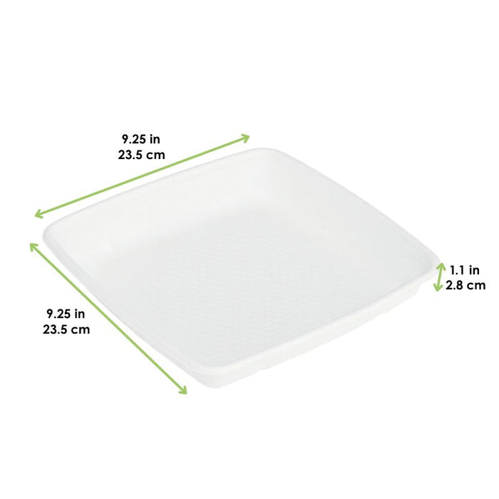 Saladier carré blanc en pulpe sans couvercle - 1000 ml - 23,5 cm x 23,5 cm x 2,8 cm - 25 unités