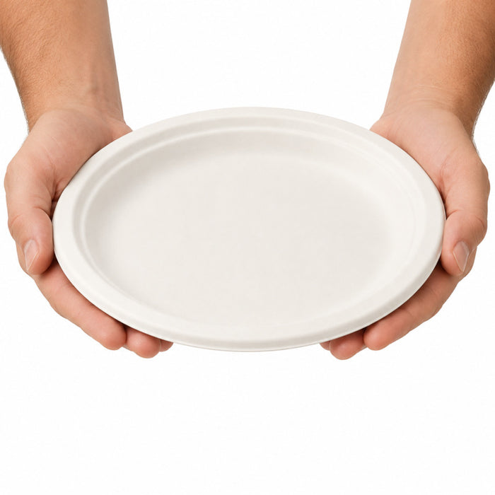 Assiette ovale blanche en pulpe - 26 cm x 19,5 cm - 25 unités