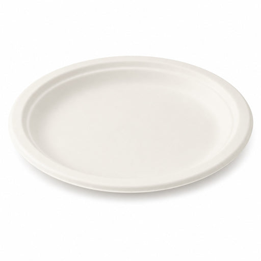Assiette ovale blanche en pulpe - 26 cm x 19,5 cm - 25 unités