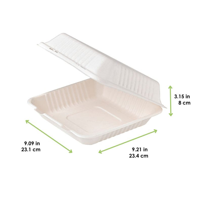 Coquille blanche en pulpe - 1400 ml - 23,4 cm x 23,1 cm x 8 cm - 50 unités