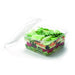 Pot carré en PLA transparent - GS6-1 1100 ml 16 cm x 16 cm x 6,5 cm - 50 unités