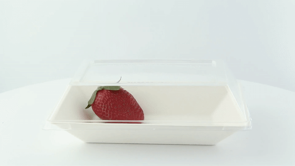Couvercle PET transparent 18 cm x 13,3 cm x 3 cm - Compatible avec 210ECOD1712, 210ECOD1712F - 50 unités