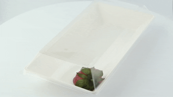Couvercle PET transparent 26,2 cm x 13,2 cm x 3,3 cm - Compatible avec 210ECOD2614, 210ECOD2614F - 50 unités