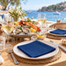 Serviette ouate bleue 2 plis - 38 cm x 38 cm - ambiance