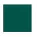 Serviette micro point verte 2 plis 38 cm x 38 cm - 40 unités