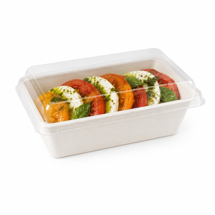 Couvercle PET transparent - 19,4 cm x 14,1 cm x 0,7 cm - 50 unités