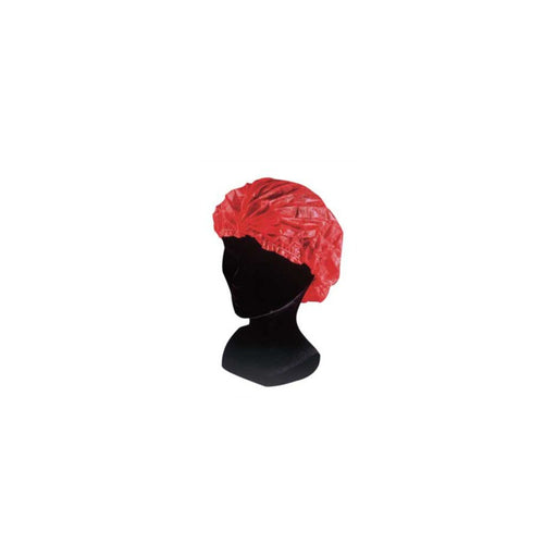 Charlotte clip rouge 20 cm x 2,5 cm - 100 unités